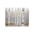 Picture of Birch forest in fog II _GroupedProduct_Rectangle_Landscape_Photography _GroupedProduct_Rectangle_Landscape_Unframed_Print_Only_
