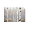 Picture of Birch forest in fog II _GroupedProduct_Rectangle_Landscape_Photography _GroupedProduct_Rectangle_Landscape_Unframed_Print_Only_