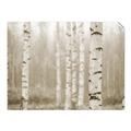 Picture of Birch forest in fog II _GroupedProduct_Rectangle_Landscape_Photography _GroupedProduct_Rectangle_Landscape_Unframed_Print_Only_