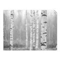 Picture of Birch forest in fog II _GroupedProduct_Rectangle_Landscape_Photography _GroupedProduct_Rectangle_Landscape_Unframed_Print_Only_