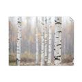 Picture of Birch forest in fog II _GroupedProduct_Rectangle_Landscape_Photography _GroupedProduct_Rectangle_Landscape_Unframed_Print_Only_
