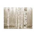 Picture of Birch forest in fog II _GroupedProduct_Rectangle_Landscape_Photography _GroupedProduct_Rectangle_Landscape_Unframed_Print_Only_