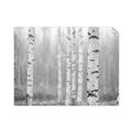 Picture of Birch forest in fog II _GroupedProduct_Rectangle_Landscape_Photography _GroupedProduct_Rectangle_Landscape_Unframed_Print_Only_