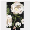 Picture of White Buttercups  _GroupedProduct_Rectangle_Portrait_Canvas_