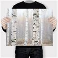 Picture of Birch forest in fog I _GroupedProduct_Rectangle_Landscape_Photography _GroupedProduct_Rectangle_Landscape_Canvas_