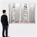 Picture of Birch forest in fog I _GroupedProduct_Rectangle_Landscape_Photography _GroupedProduct_Rectangle_Landscape_Canvas_