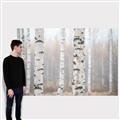 Picture of Birch forest in fog I _GroupedProduct_Rectangle_Landscape_Photography _GroupedProduct_Rectangle_Landscape_Canvas_
