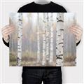 Picture of Birch forest in fog II _GroupedProduct_Rectangle_Landscape_Photography _GroupedProduct_Rectangle_Landscape_Canvas_