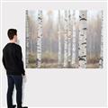 Picture of Birch forest in fog II _GroupedProduct_Rectangle_Landscape_Photography _GroupedProduct_Rectangle_Landscape_Canvas_