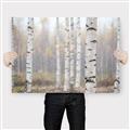Picture of Birch forest in fog II _GroupedProduct_Rectangle_Landscape_Photography _GroupedProduct_Rectangle_Landscape_Canvas_