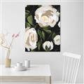 Picture of White Buttercups  _GroupedProduct_Rectangle_Portrait_Canvas_