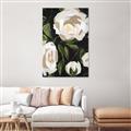 Picture of White Buttercups  _GroupedProduct_Rectangle_Portrait_Canvas_