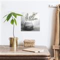 Picture of Lone Botanicals  _GroupedProduct_Square_Canvas_