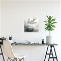 Picture of Lone Botanicals  _GroupedProduct_Square_Canvas_