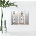 Picture of Birch forest in fog I _GroupedProduct_Rectangle_Landscape_Photography _GroupedProduct_Rectangle_Landscape_Canvas_