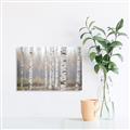 Picture of Birch forest in fog II _GroupedProduct_Rectangle_Landscape_Photography _GroupedProduct_Rectangle_Landscape_Canvas_