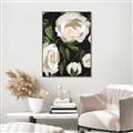 Picture of White Buttercups  _GroupedProduct_Rectangle_Portrait_Canvas_Framed_