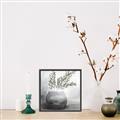 Picture of Lone Botanicals  _GroupedProduct_Square_Canvas_Framed_