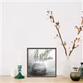 Picture of Lone Botanicals  _GroupedProduct_Square_Canvas_Framed_