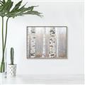Picture of Birch forest in fog I _GroupedProduct_Rectangle_Landscape_Photography _GroupedProduct_Rectangle_Landscape_Canvas_Framed_