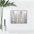 Picture of Birch forest in fog I _GroupedProduct_Rectangle_Landscape_Photography _GroupedProduct_Rectangle_Landscape_Canvas_Framed_