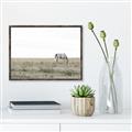 Picture of Midmorning Break  _GroupedProduct_Rectangle_Landscape_Photography _GroupedProduct_Rectangle_Landscape_Canvas_Framed_