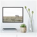 Picture of Midmorning Break  _GroupedProduct_Rectangle_Landscape_Photography _GroupedProduct_Rectangle_Landscape_Canvas_Framed_