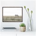 Picture of Midmorning Break  _GroupedProduct_Rectangle_Landscape_Photography _GroupedProduct_Rectangle_Landscape_Canvas_Framed_