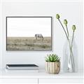 Picture of Midmorning Break  _GroupedProduct_Rectangle_Landscape_Photography _GroupedProduct_Rectangle_Landscape_Canvas_Framed_