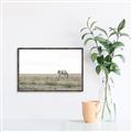 Picture of Midmorning Break  _GroupedProduct_Rectangle_Landscape_Photography _GroupedProduct_Rectangle_Landscape_Canvas_Framed_