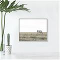 Picture of Midmorning Break  _GroupedProduct_Rectangle_Landscape_Photography _GroupedProduct_Rectangle_Landscape_Canvas_Framed_