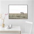 Picture of Midmorning Break  _GroupedProduct_Rectangle_Landscape_Photography _GroupedProduct_Rectangle_Landscape_Canvas_Framed_
