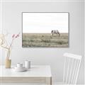 Picture of Midmorning Break  _GroupedProduct_Rectangle_Landscape_Photography _GroupedProduct_Rectangle_Landscape_Canvas_Framed_