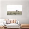 Picture of Midmorning Break  _GroupedProduct_Rectangle_Landscape_Photography _GroupedProduct_Rectangle_Landscape_Canvas_Framed_