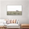 Picture of Midmorning Break  _GroupedProduct_Rectangle_Landscape_Photography _GroupedProduct_Rectangle_Landscape_Canvas_Framed_