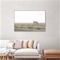 Picture of Midmorning Break  _GroupedProduct_Rectangle_Landscape_Photography _GroupedProduct_Rectangle_Landscape_Canvas_Framed_