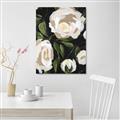 Picture of White Buttercups  _GroupedProduct_Rectangle_Portrait_Unframed_Print_Only_