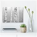 Picture of Birch forest in fog I _GroupedProduct_Rectangle_Landscape_Photography _GroupedProduct_Rectangle_Landscape_Unframed_Print_Only_