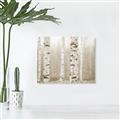 Picture of Birch forest in fog I _GroupedProduct_Rectangle_Landscape_Photography _GroupedProduct_Rectangle_Landscape_Unframed_Print_Only_