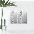 Picture of Birch forest in fog I _GroupedProduct_Rectangle_Landscape_Photography _GroupedProduct_Rectangle_Landscape_Unframed_Print_Only_