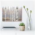 Picture of Birch forest in fog II _GroupedProduct_Rectangle_Landscape_Photography _GroupedProduct_Rectangle_Landscape_Unframed_Print_Only_
