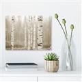 Picture of Birch forest in fog II _GroupedProduct_Rectangle_Landscape_Photography _GroupedProduct_Rectangle_Landscape_Unframed_Print_Only_