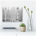 Picture of Birch forest in fog II _GroupedProduct_Rectangle_Landscape_Photography _GroupedProduct_Rectangle_Landscape_Unframed_Print_Only_