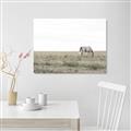 Picture of Midmorning Break  _GroupedProduct_Rectangle_Landscape_Photography _GroupedProduct_Rectangle_Landscape_Unframed_Print_Only_