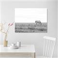Picture of Midmorning Break  _GroupedProduct_Rectangle_Landscape_Photography _GroupedProduct_Rectangle_Landscape_Unframed_Print_Only_