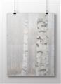 Picture of Birch forest in fog I _GroupedProduct_Rectangle_Landscape_Photography _GroupedProduct_Rectangle_Landscape_Unframed_Print_Only_