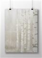 Picture of Birch forest in fog II _GroupedProduct_Rectangle_Landscape_Photography _GroupedProduct_Rectangle_Landscape_Unframed_Print_Only_