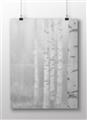 Picture of Birch forest in fog II _GroupedProduct_Rectangle_Landscape_Photography _GroupedProduct_Rectangle_Landscape_Unframed_Print_Only_