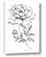 Picture of Flowers and leaves (Foil)