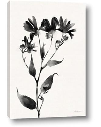 Picture of Black flower II (Ink border black )